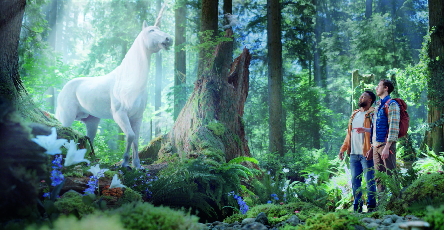 NJM INSURANCE Campaign visual