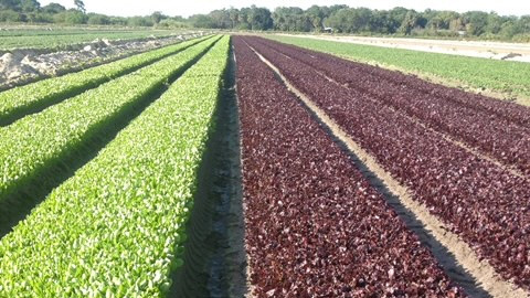 State Garden: People, Planet, Produce